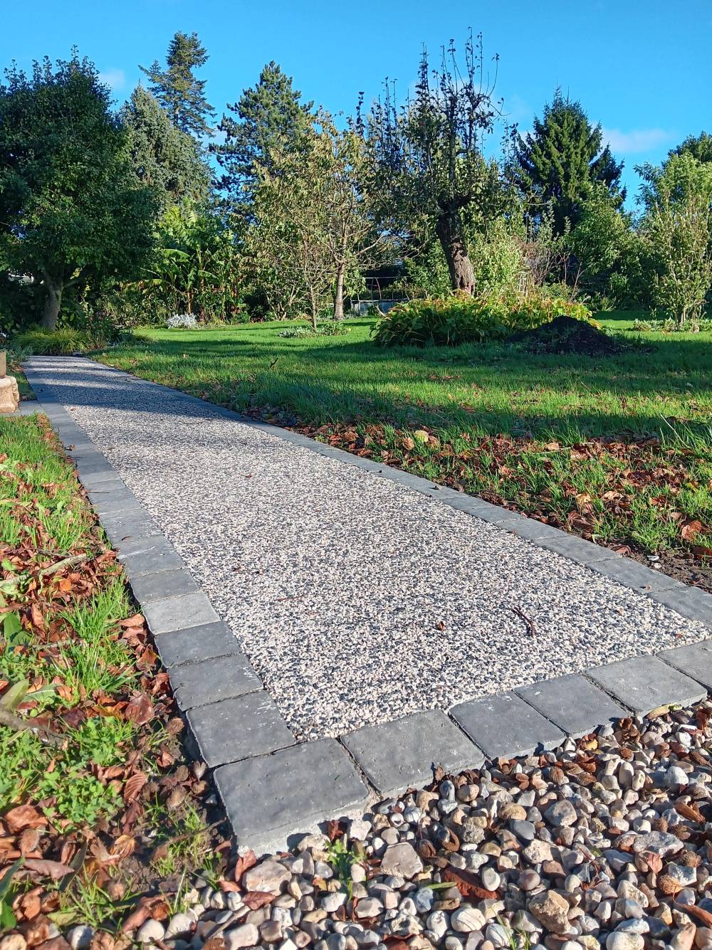 Béton désactivé + pavés2-min